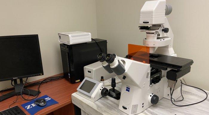 Zeiss ObserverZ1 widefield microscope