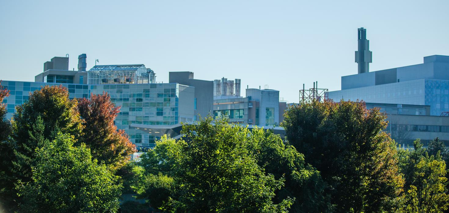 Aerial view of campus buildings and trees