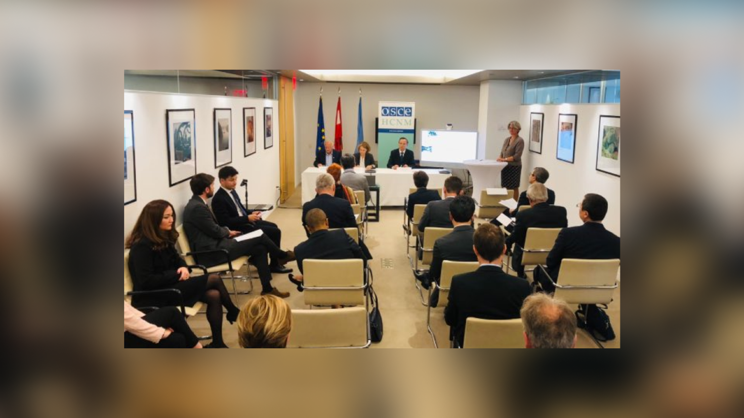 Advocating at the United Nations in New York for the Inclusion of Minorities