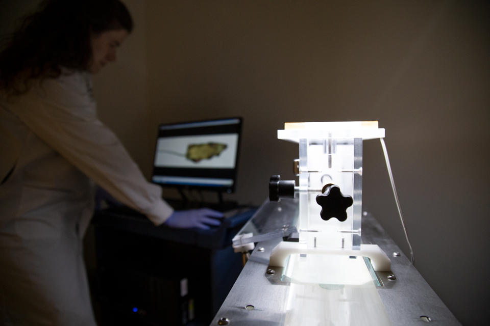 Dr. Kerstin Ure in the animal behaviour lab