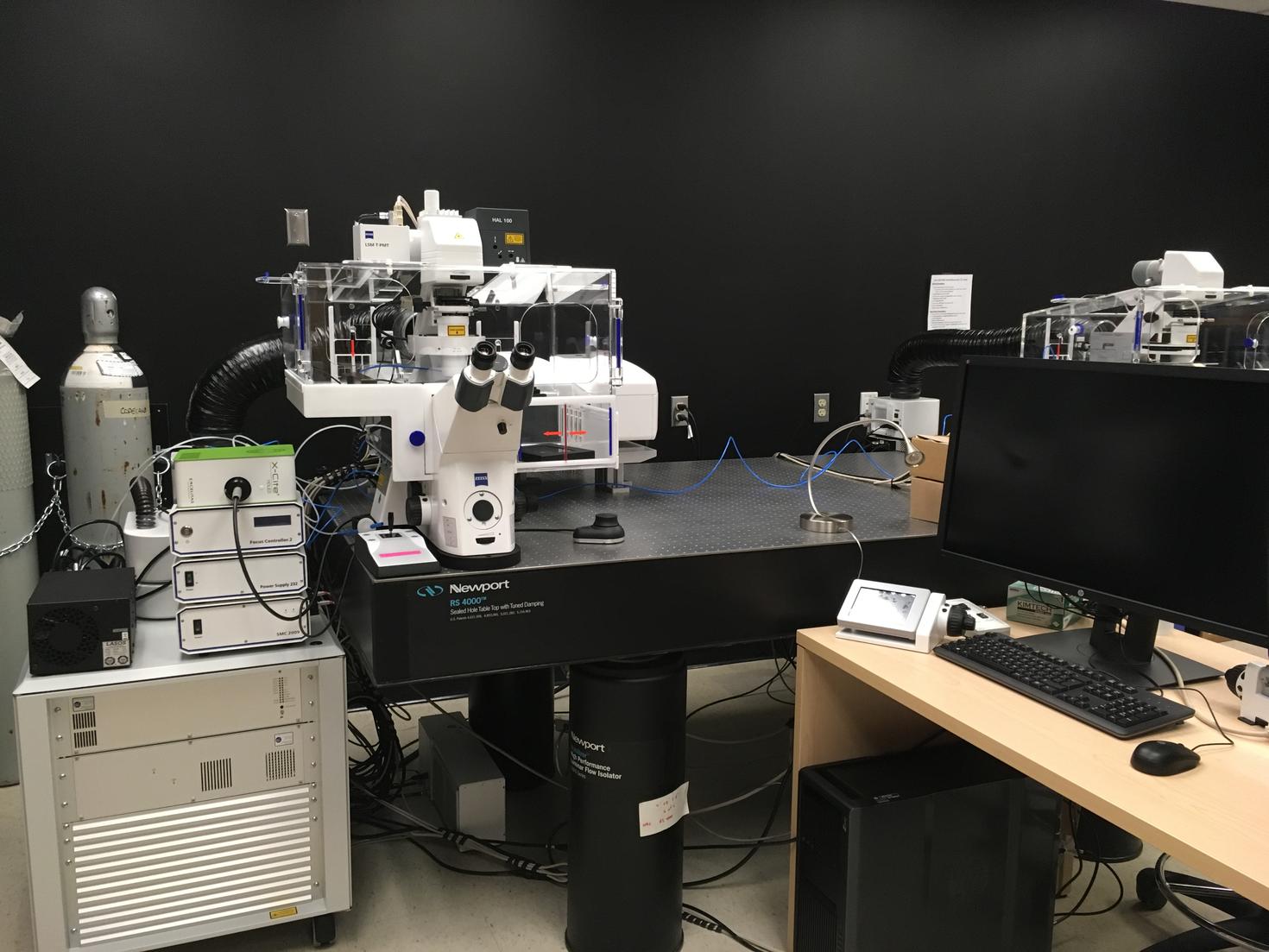 lsm880 confocal microscope