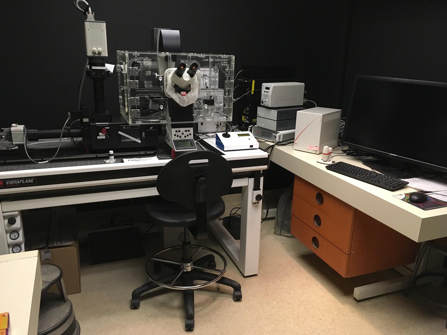 Quorum Spinning Disk microscope