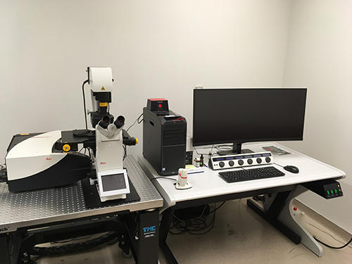 Leica SP8 Confocal 