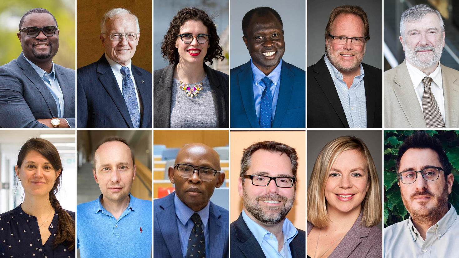 First row, from left to right: Jude Mary Cénat, Paul Corkum, Elizabeth Dubois, Mamadou Fall, Stephen Ferguson, Trevor Hall; second row, from left to right: Eva Hemmer, Peter Jaskiewicz, Chidi Oguamanam, Derek Pratt, Katey Rayner and Vincent Tabard-Cossa