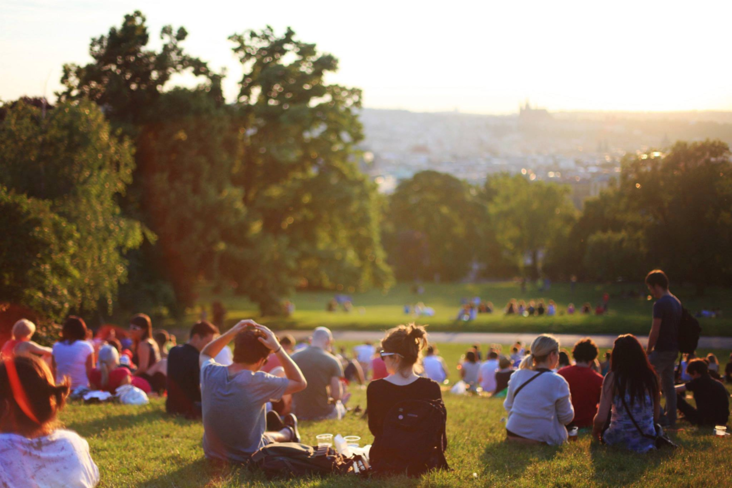 people sitting on a lawn