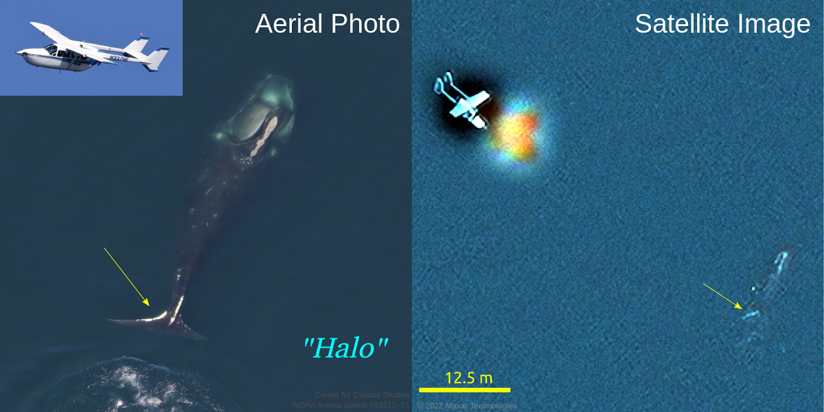 Side-by-side comparison of "Ruffian" by aerial photo and satellite image