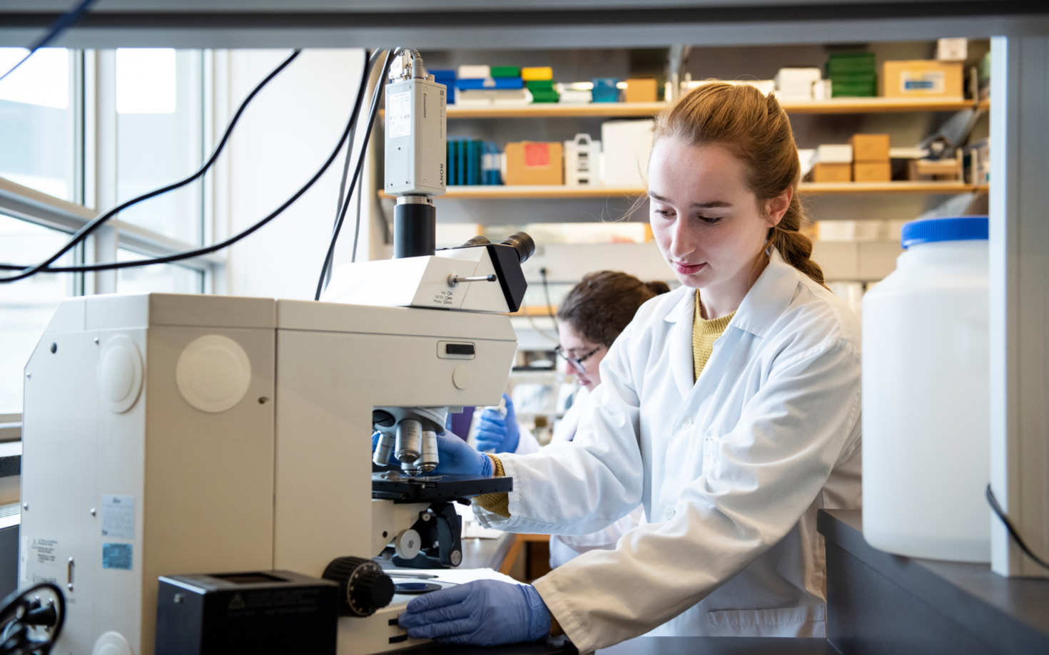 Student in the lab