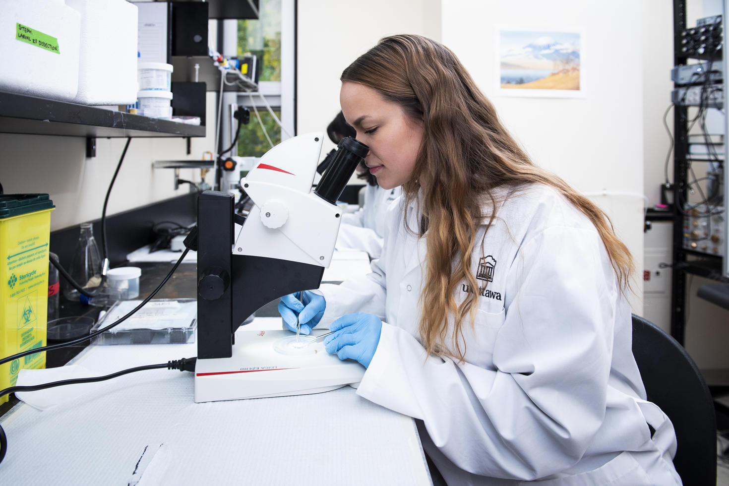 Researcher using microscope.