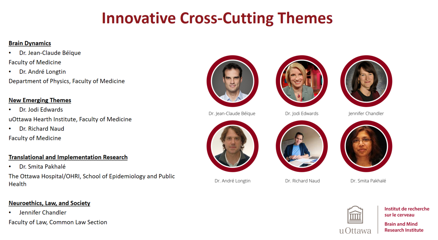 Innovative cross-cutting themes