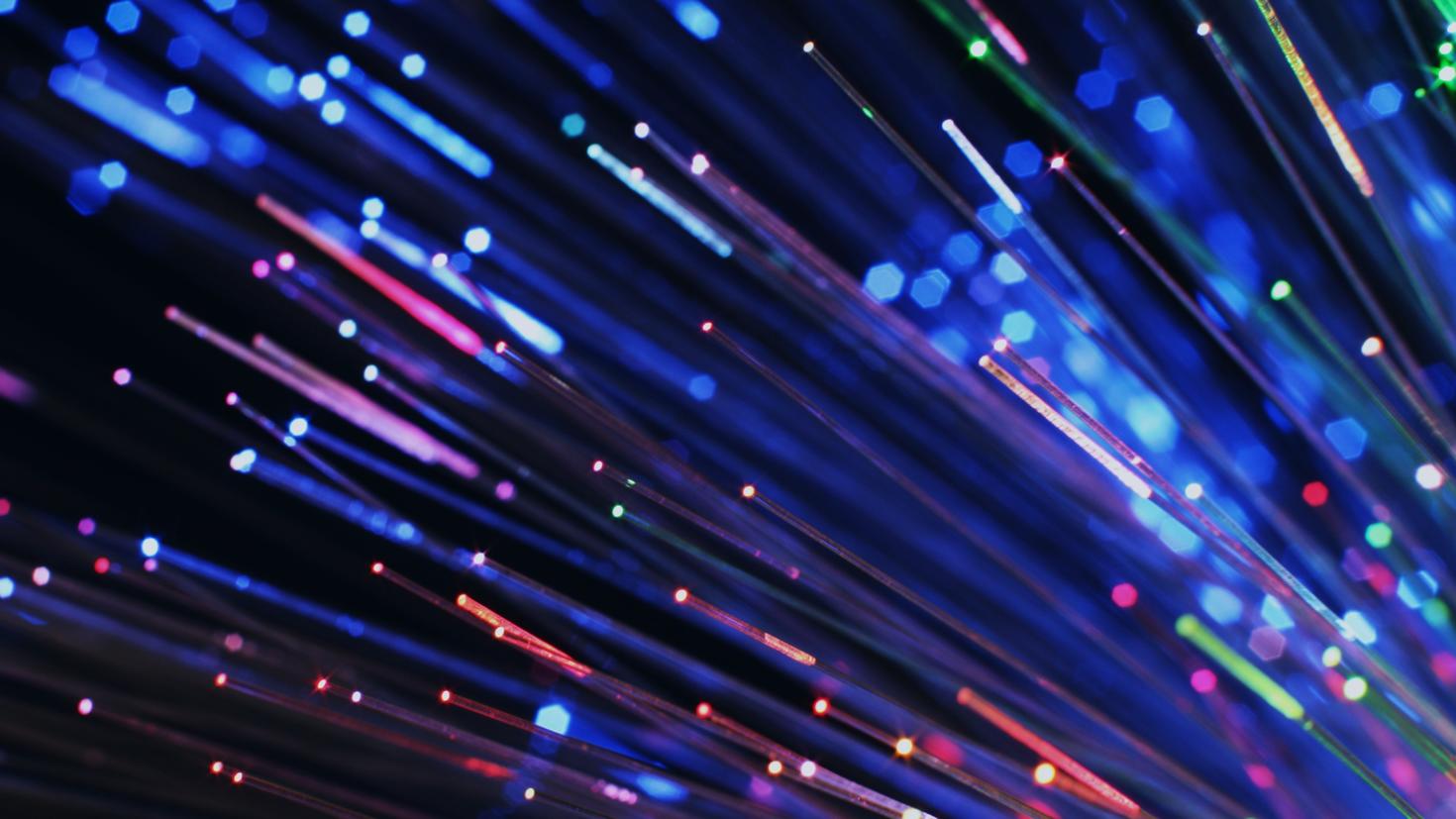 Close-up of colourful optical fibres