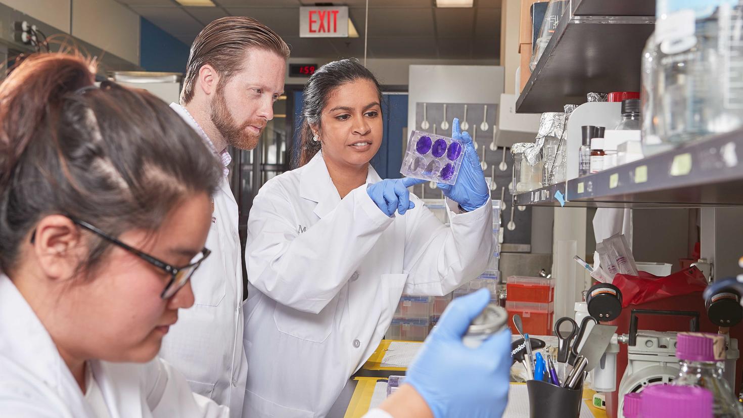 The Miller Laboratory at McMaster University