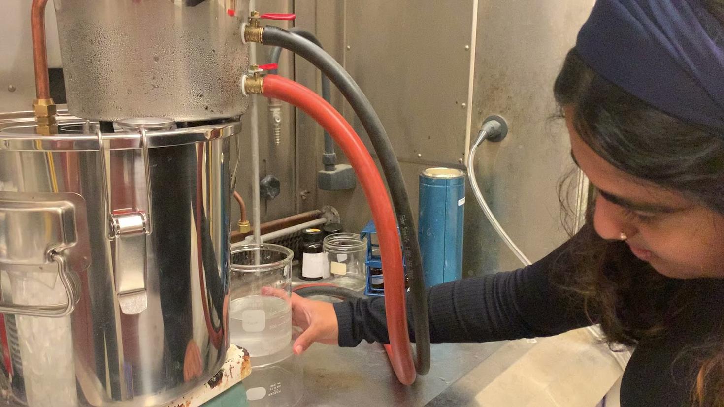 Sreejita Collecting Distillate from Green Cardamom.