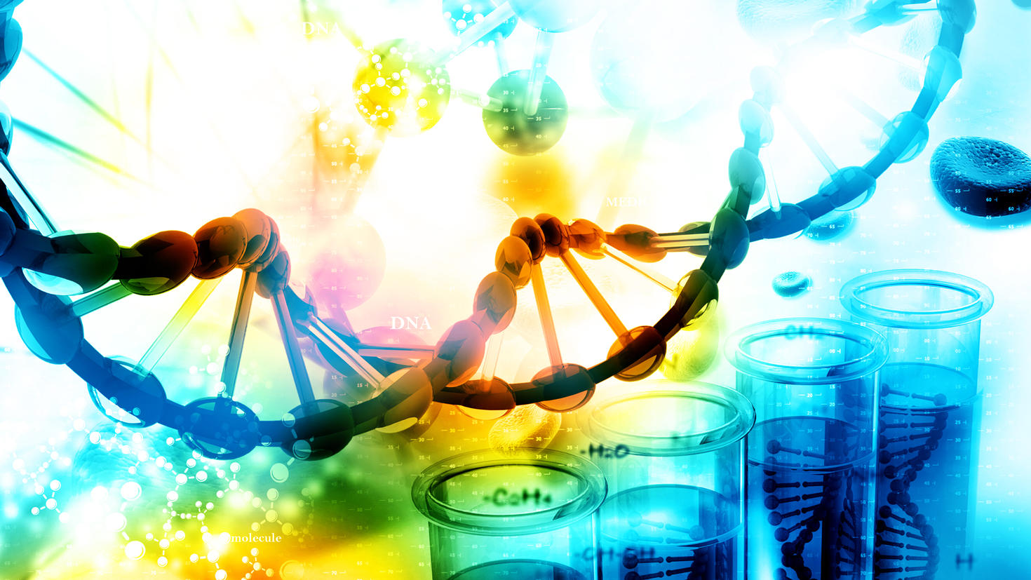 DNA strand