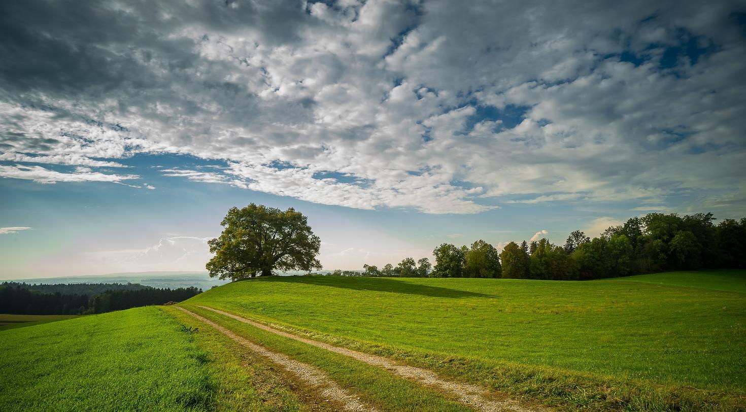 IE Banner country road