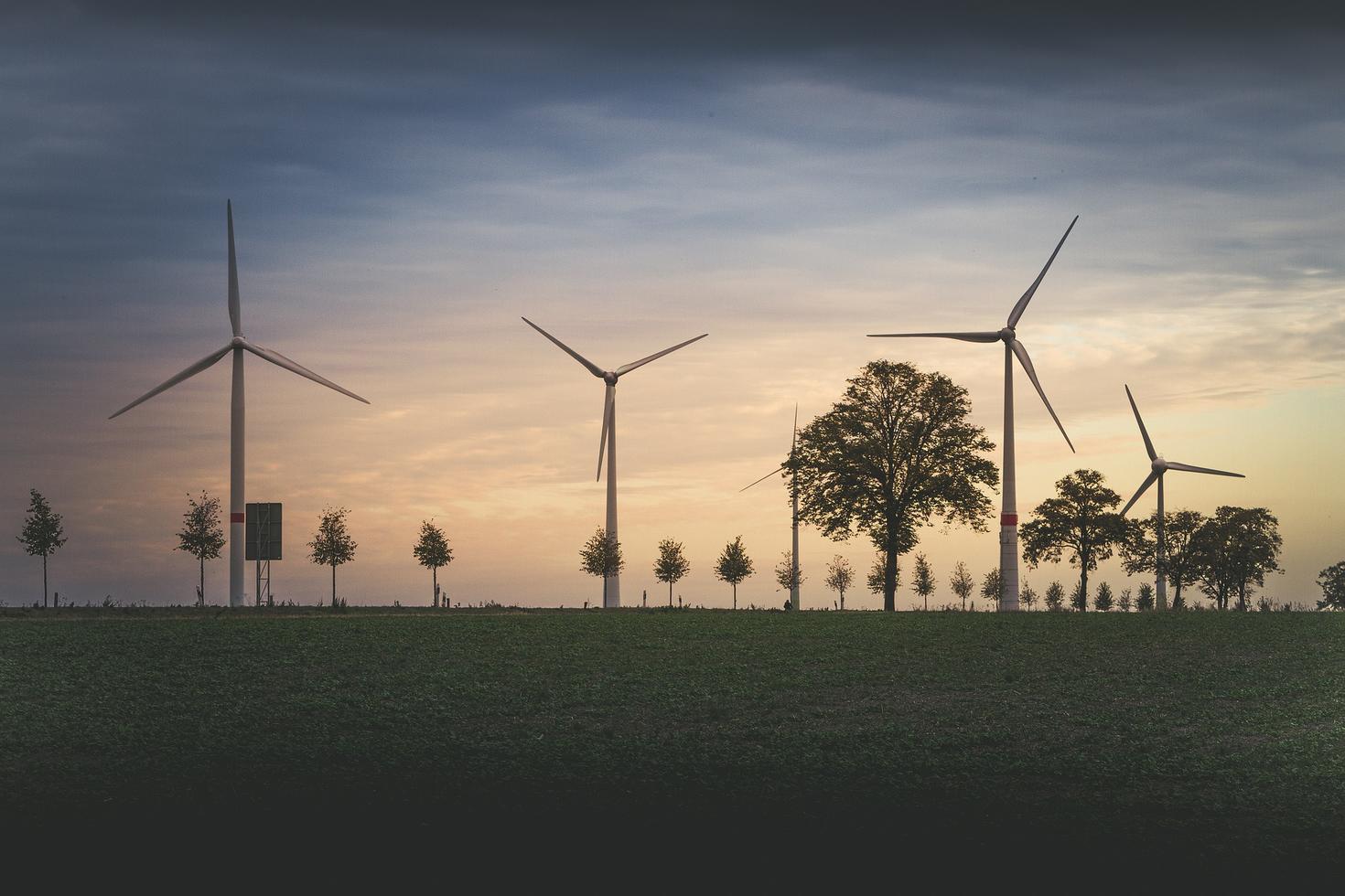 WIndmills in the sunset