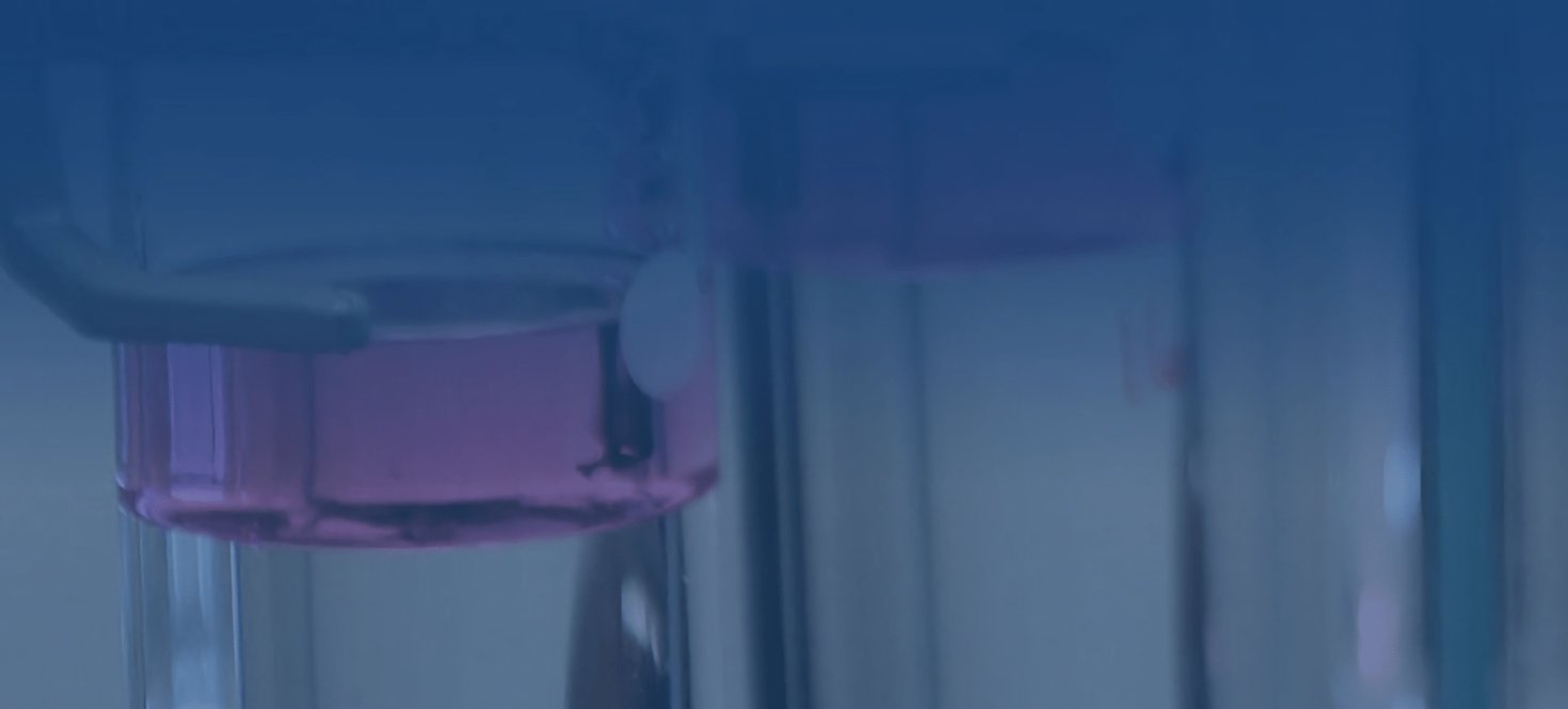 An image of chemicals in glass containers