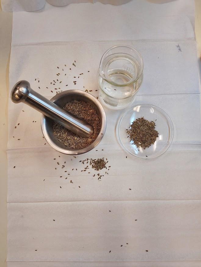 dill seed top down