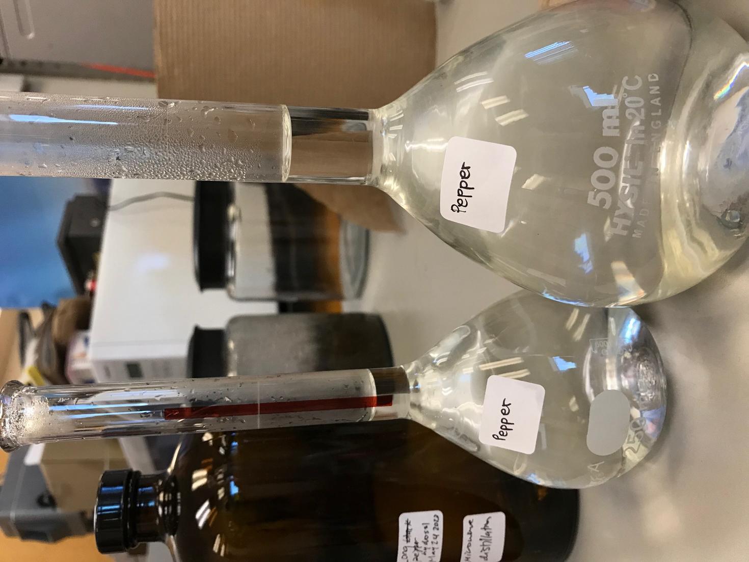 Long pepper hydrosols