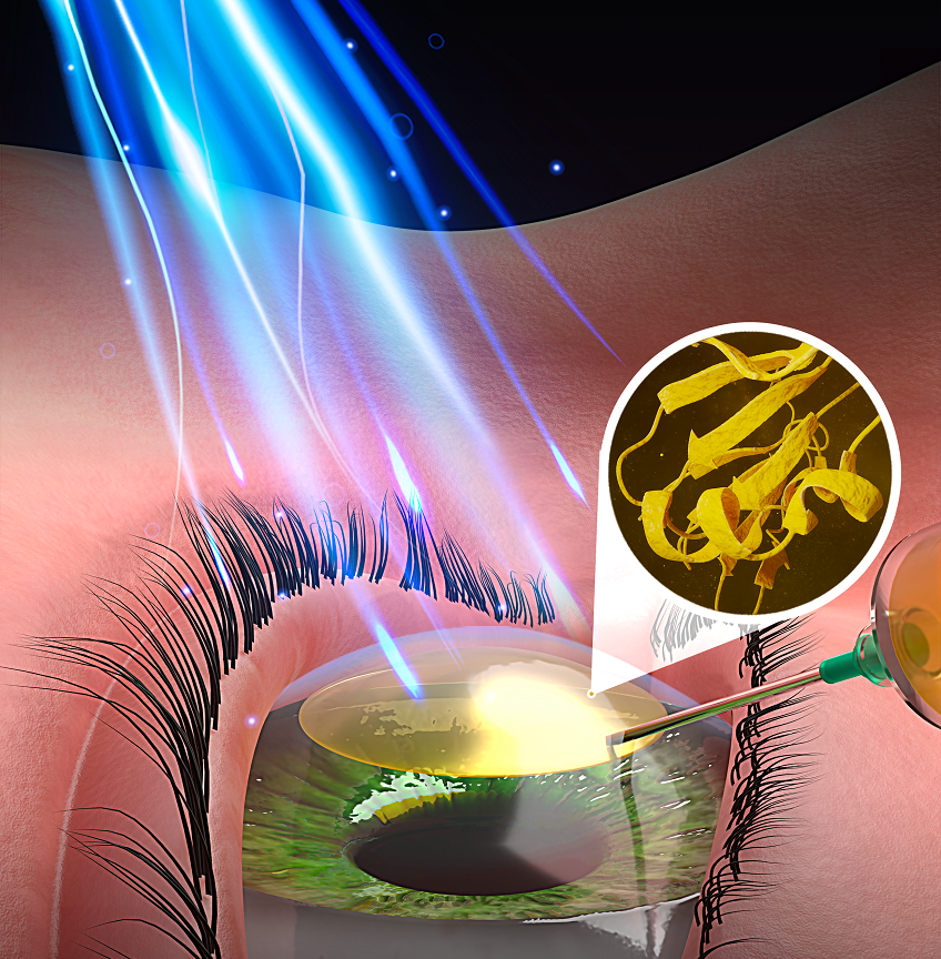 Graphic illustrating process of research