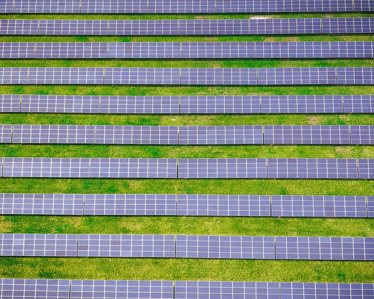 Field of bifacial solar panels