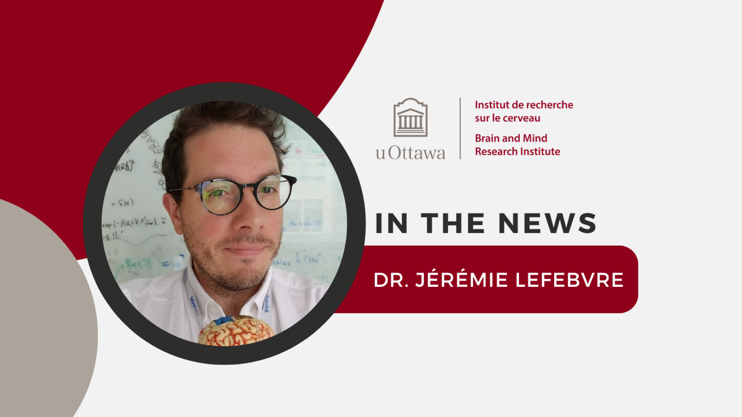 uOBMRI logo with text that reads "In the news Dr. Jérémie Lefebvre". Featuring a picture of Dr. Lefebvre.