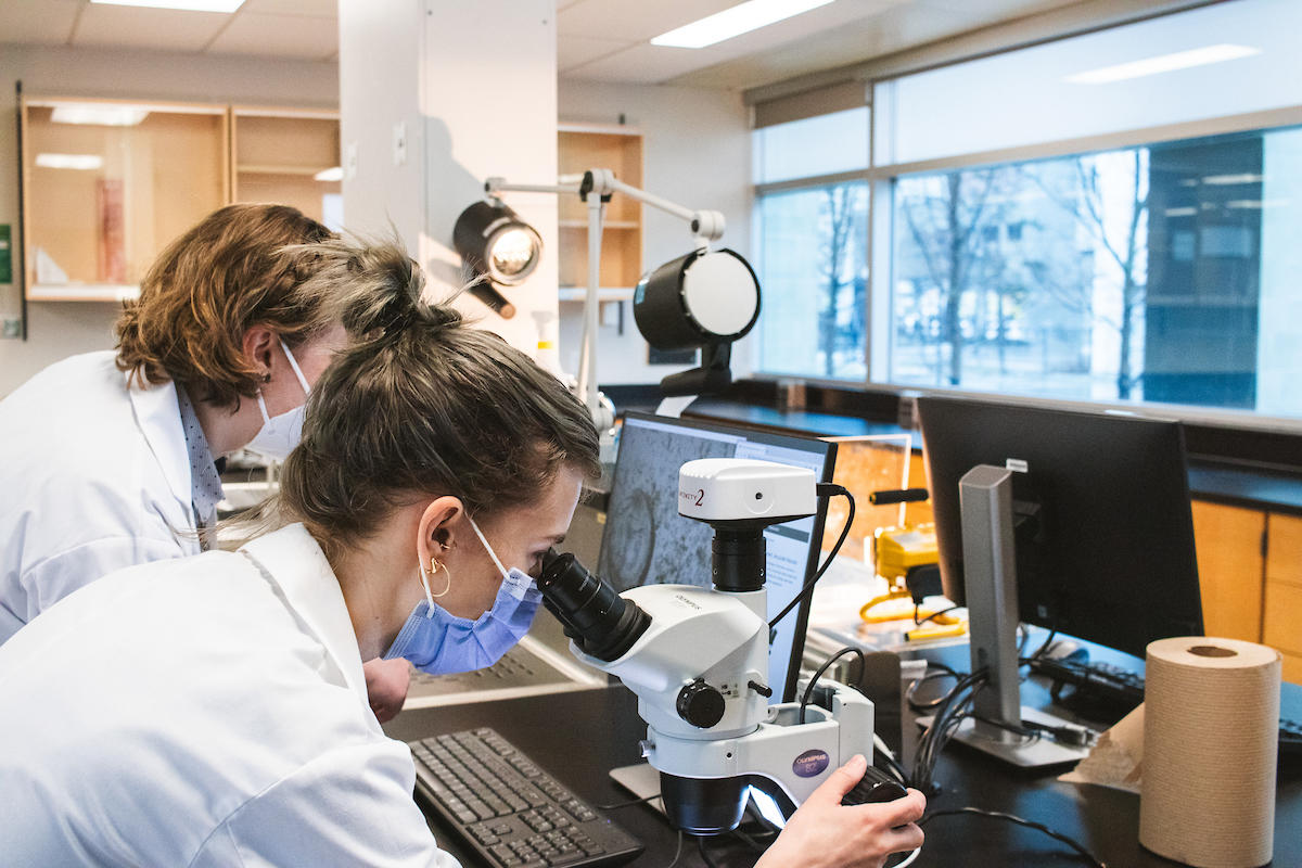 Female researchers in lab, looking through microscope