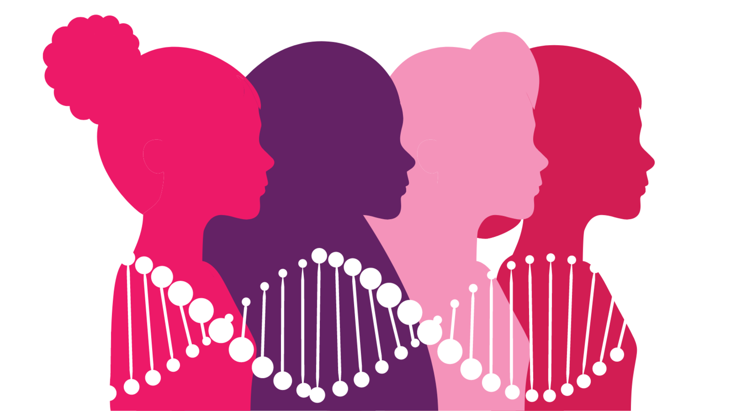 Abstract shapes of women