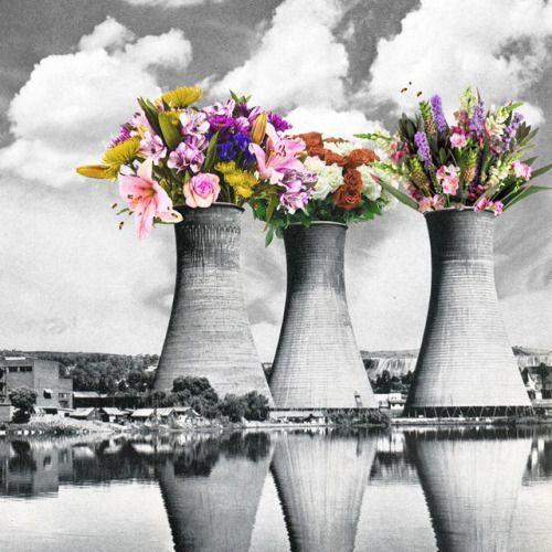 nuclear power plant and flower bouquet collage