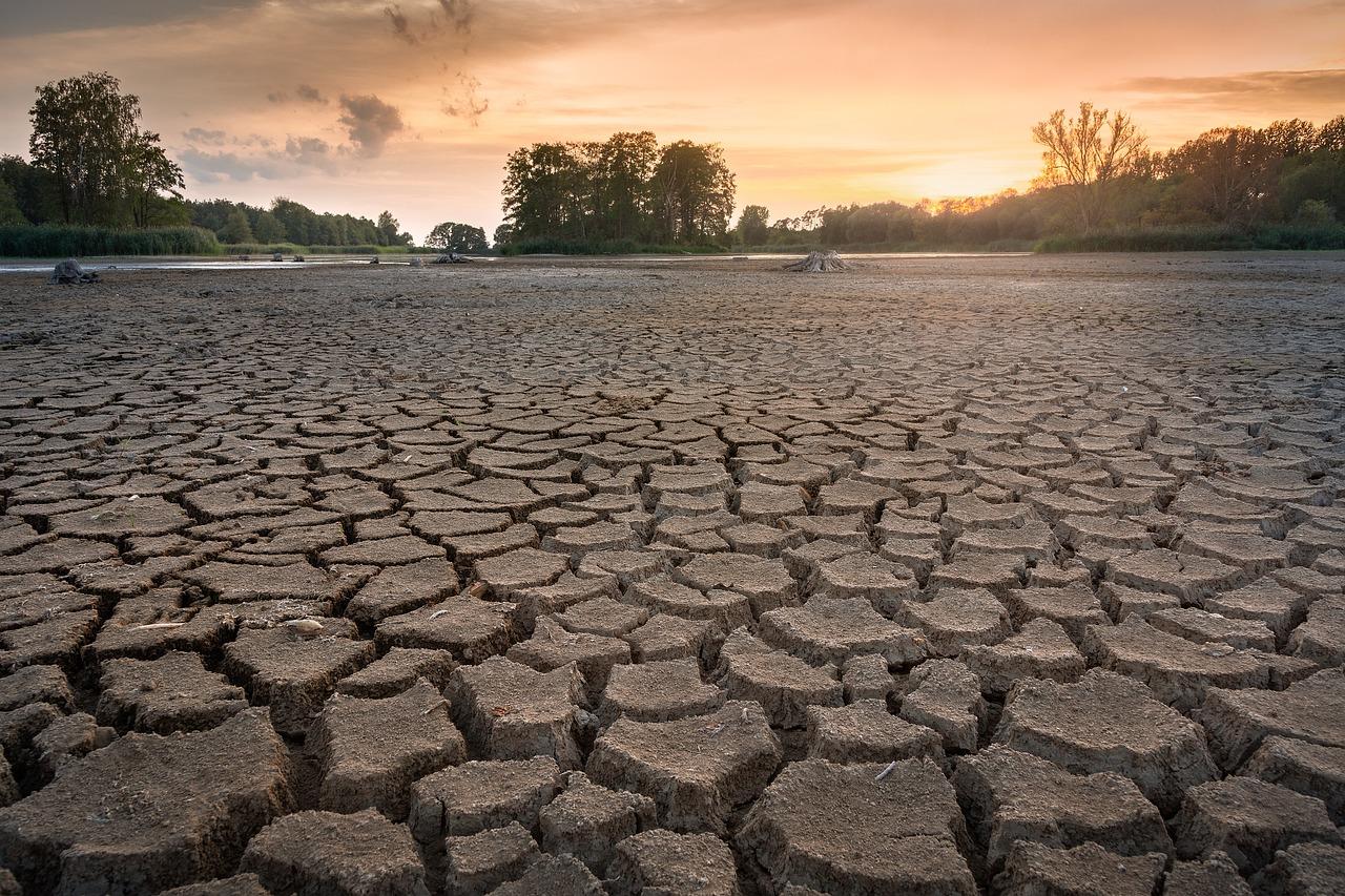 uOttawa researcher and partners design AI approach to drought zoning