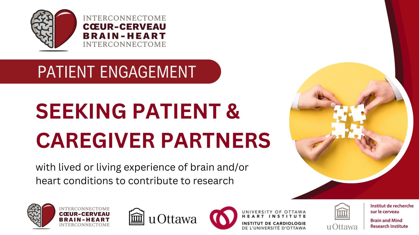 Image says “Patient Engagement: Seeking patient and caregiver partners with lived or living experience of brain and/or heart conditions to contribute to research” with a picture of people putting 4 puzzle pieces together. 