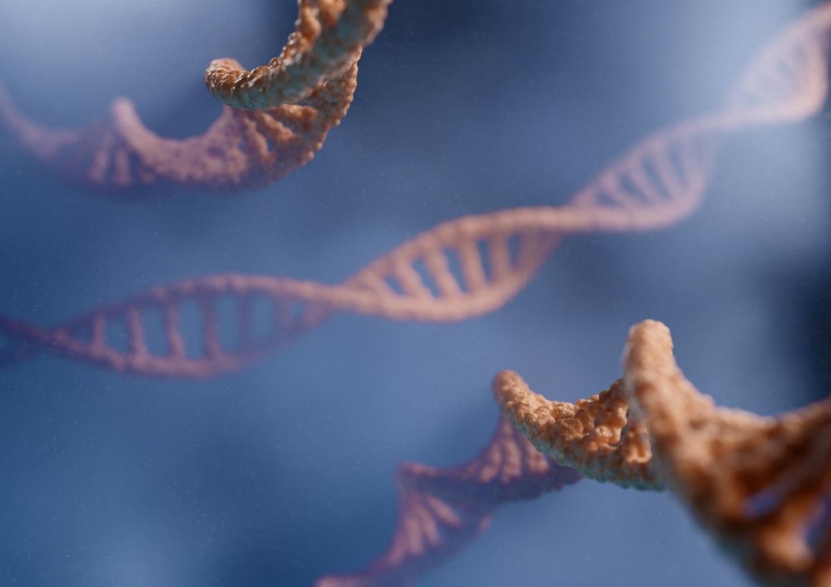 RNA cells