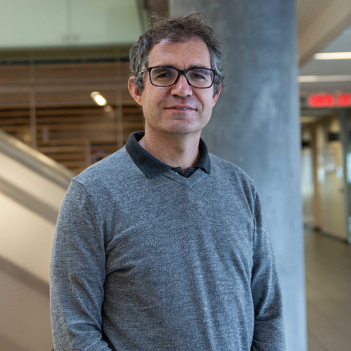 Portrait of Professor Daniel Stockemer