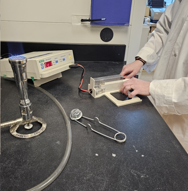 Student using an electroporator.