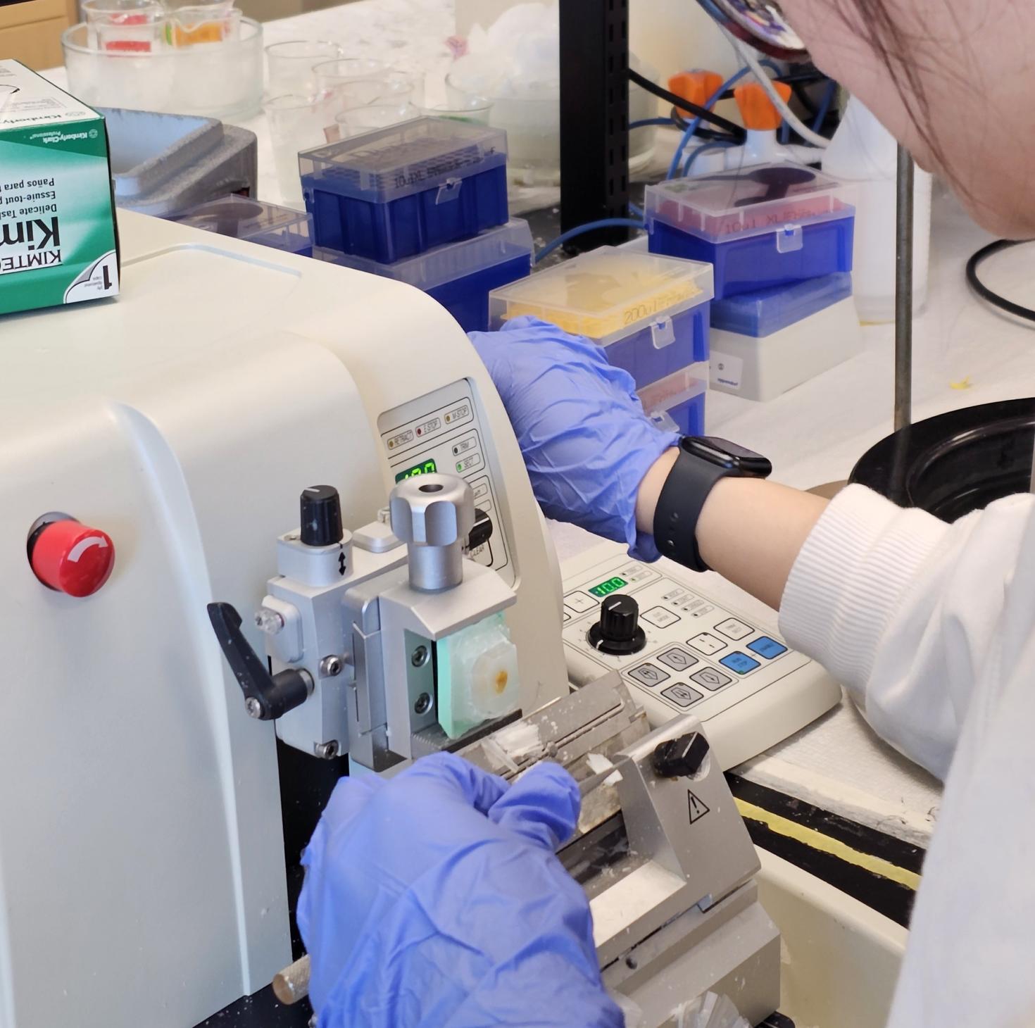 A person using a sectioning machine.