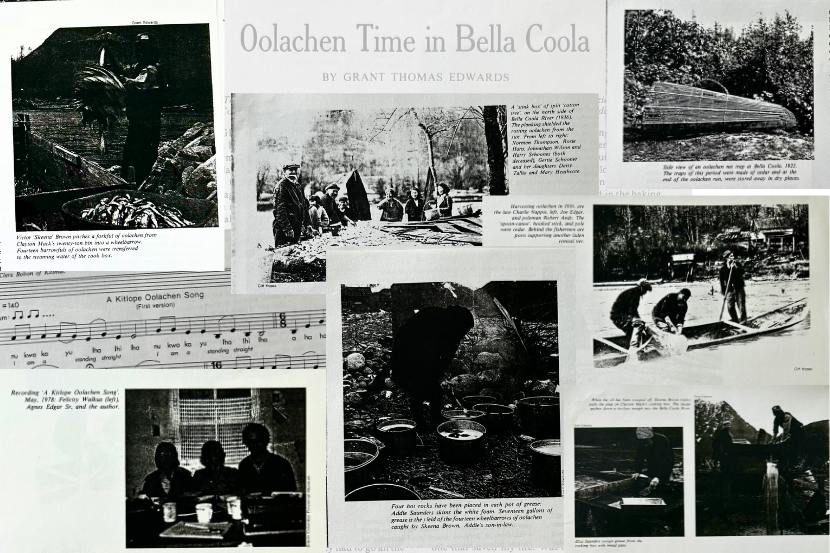 Compilation of black and white archival paper clippings from the Oolachen Time in Bella Cools depicting the Nuxalk First Nation producing eulachon grease.