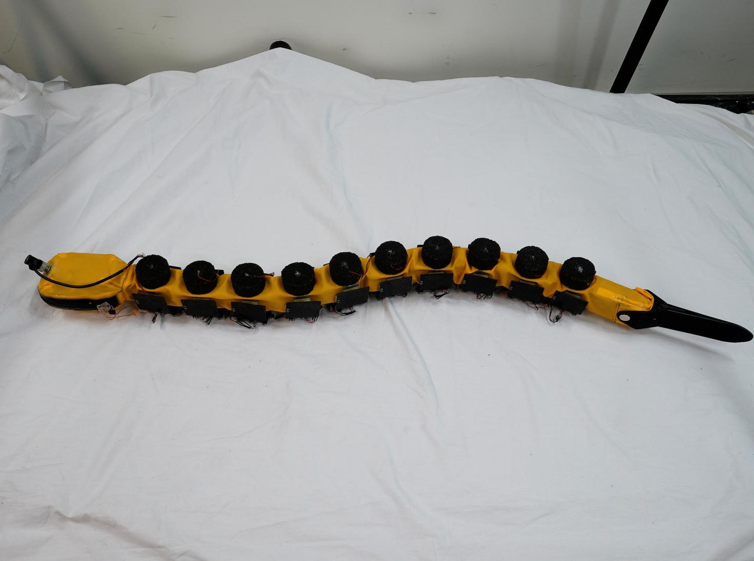 Agnathax robot in its swimming wet suit. (Photo: Qiyuan Fu, Biorobotics laboratory EPFL)