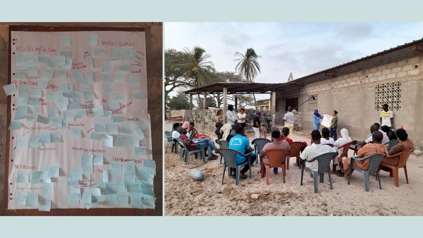Collage de photos de terrain