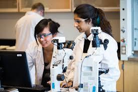 Students in a laboratory