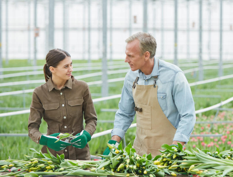 Two farmers