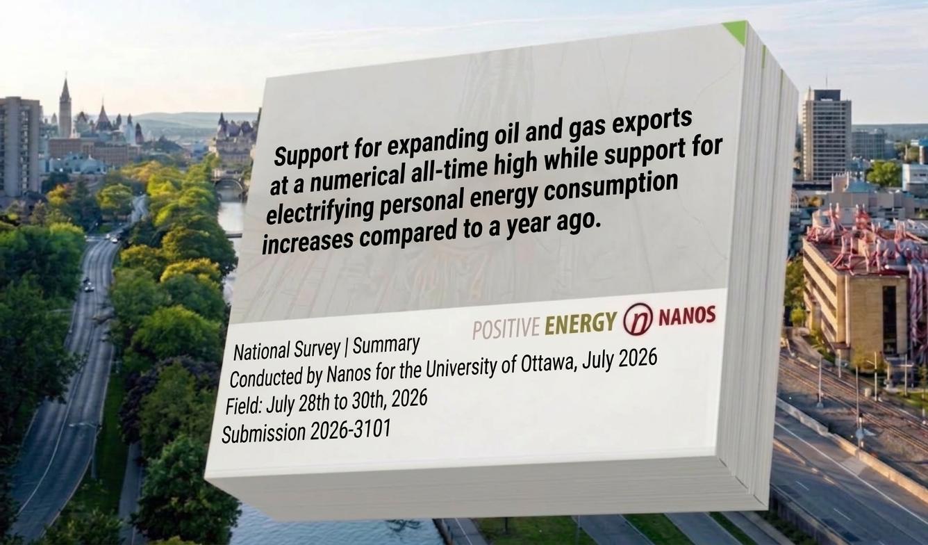 Cover of Q3 2026 - 3101 PE-Nanos Survey  EN