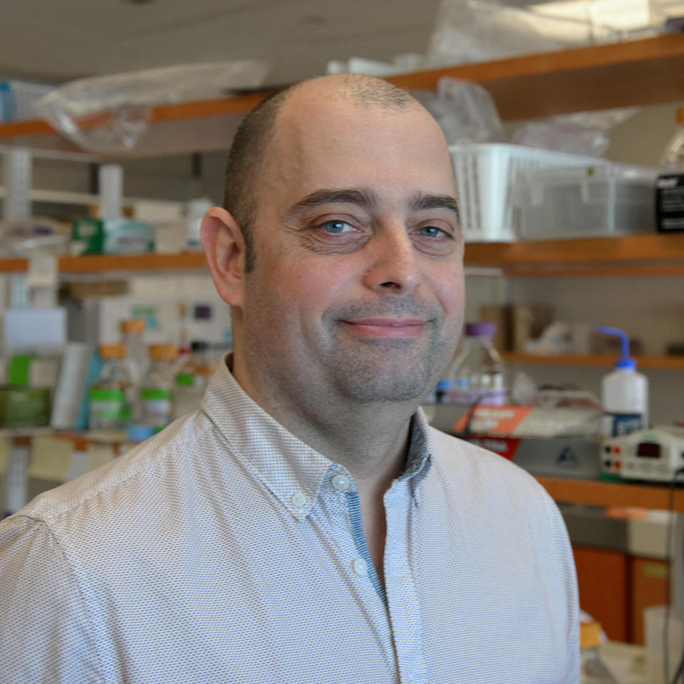 Dr. Marc-André Langlois