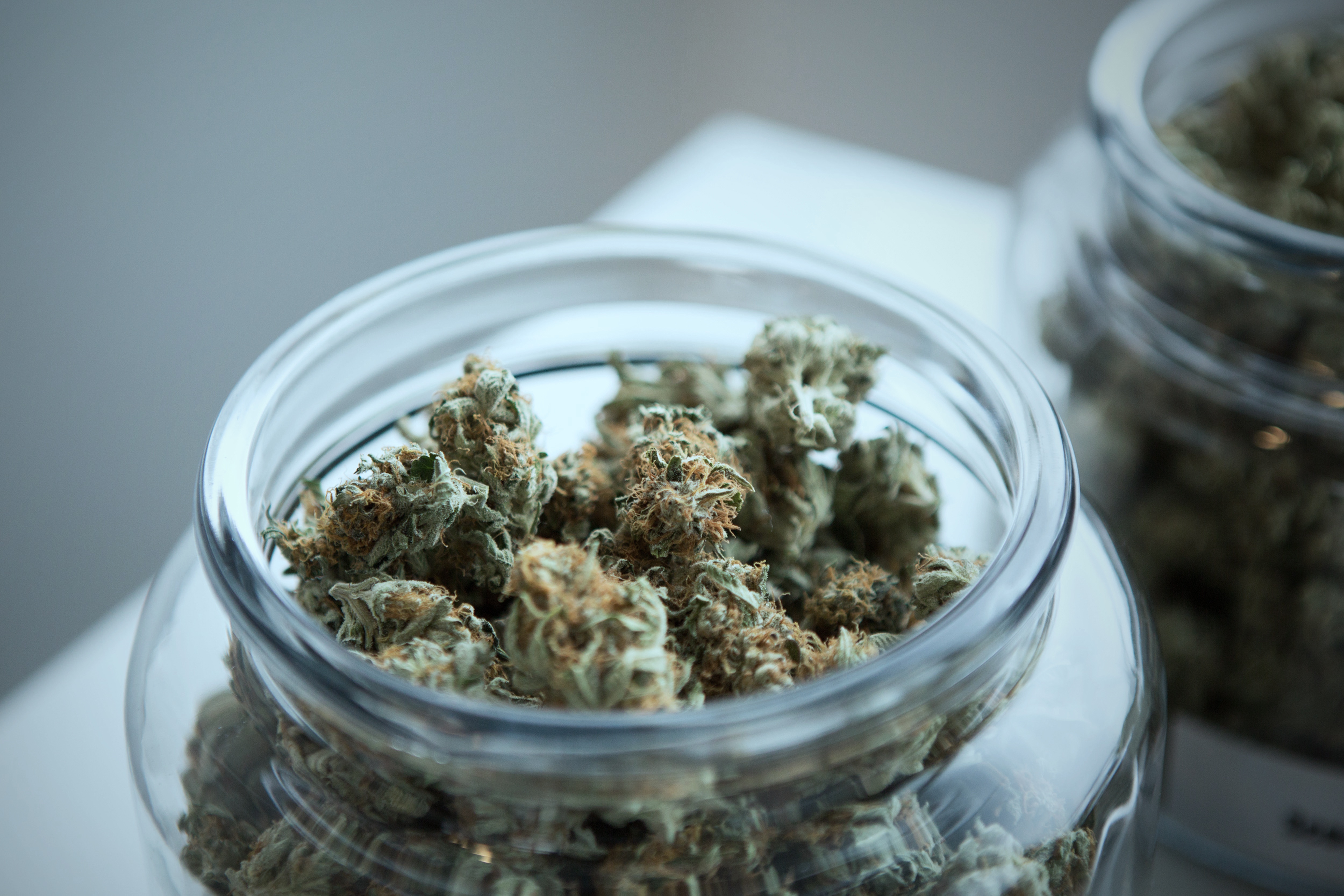 Photo de la marijuana Cannabis