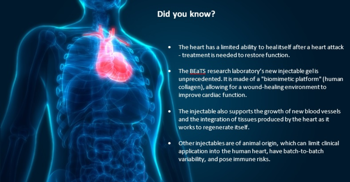 illustration of a human heart inside a body
