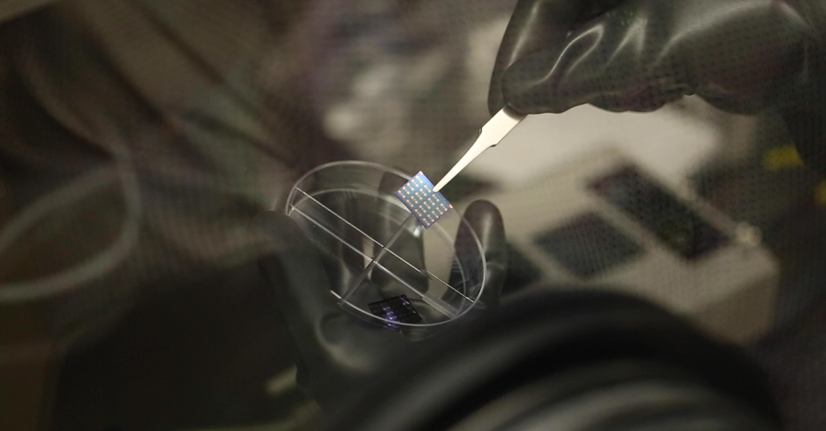 Puce avec une série de capteurs à base de transistors organiques à couche mince