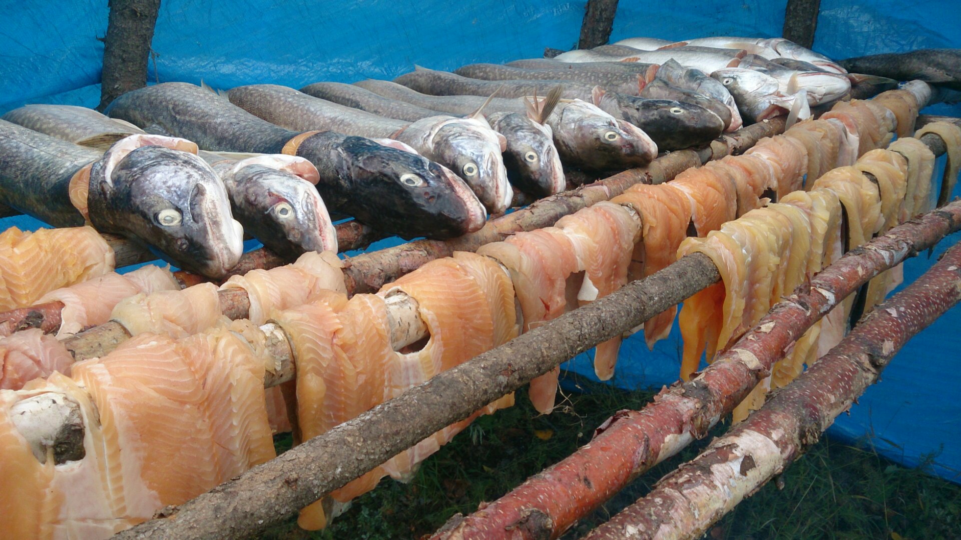 Traditional food