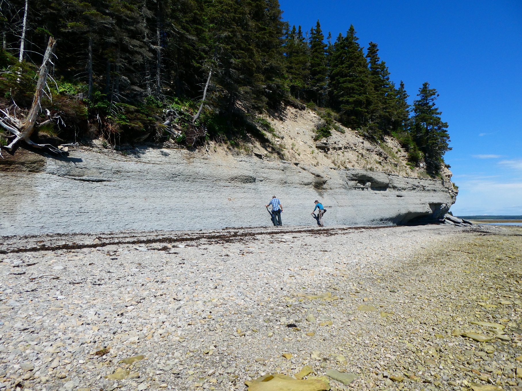 fossils on Anticosti Island