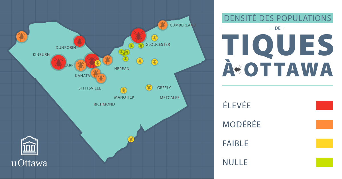 Carte de la densité des populations de tiques à Ottawa