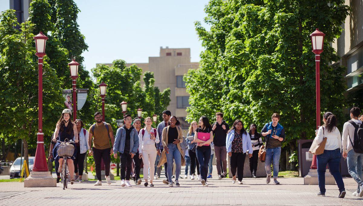 Un groupe d'étudiants marchent dehors, sur le campus.
