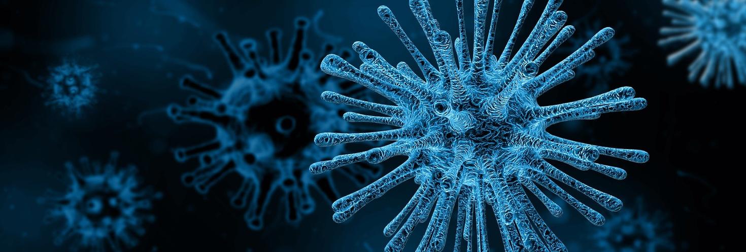un virus observé au microscope