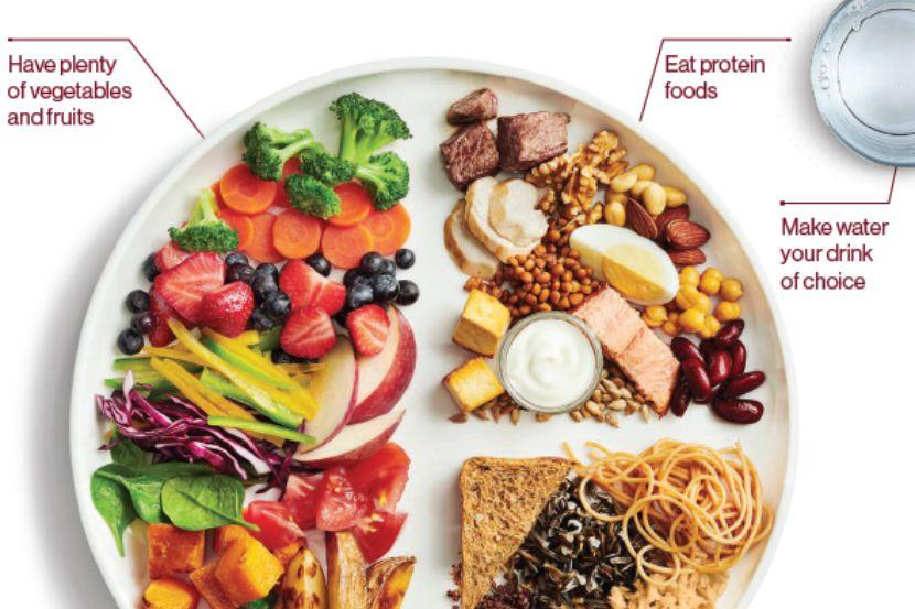 Canada food guide image with a plate